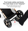Baby Kinderwagen, Hochlandschafts-Kinderwagen mit Babywanne, Wasserabweisender Kinderwagen.
