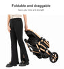 Baby Kinderwagen, Hochlandschafts-Kinderwagen mit Babywanne, Wasserabweisender Kinderwagen.